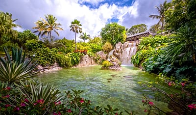 Jardin botanique deshaies
