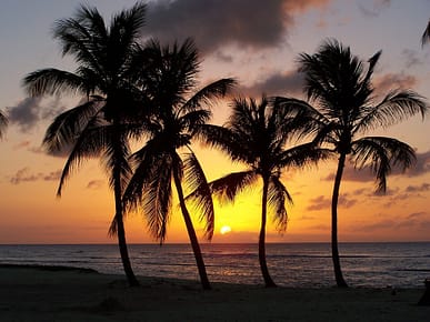 programme complet, coucher soleil sur plage avec cocotiers