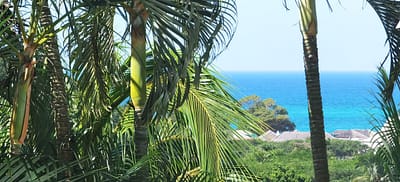 Vue mer de l’hébergement » Coco Carïb »Deshaies Guadeloupe Vue mer de l'hébergement " Coco Carïb"Deshaies Guadeloupe